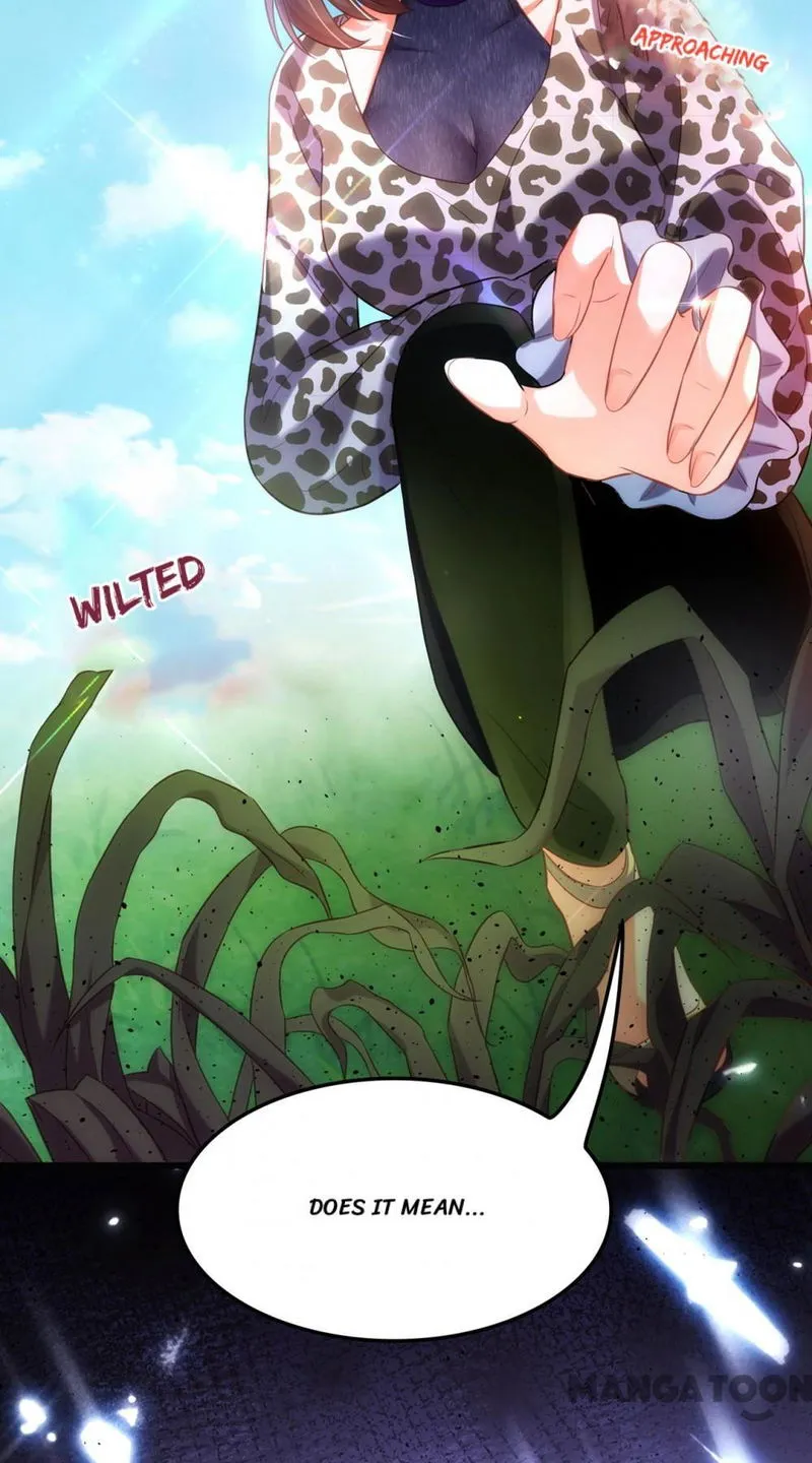 Spicy Wife’s Reborn World Chapter 97 Online - página 55