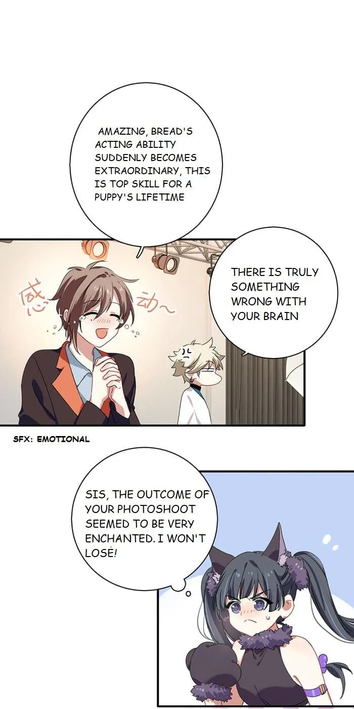 Star Dream Idol Project Chapter 255 Online - página 14
