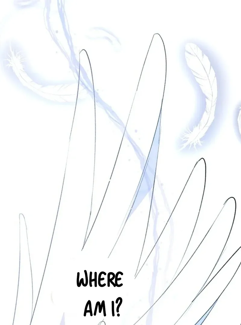 Steal from the Devil’s Pocket Chapter 11 Online - página 7