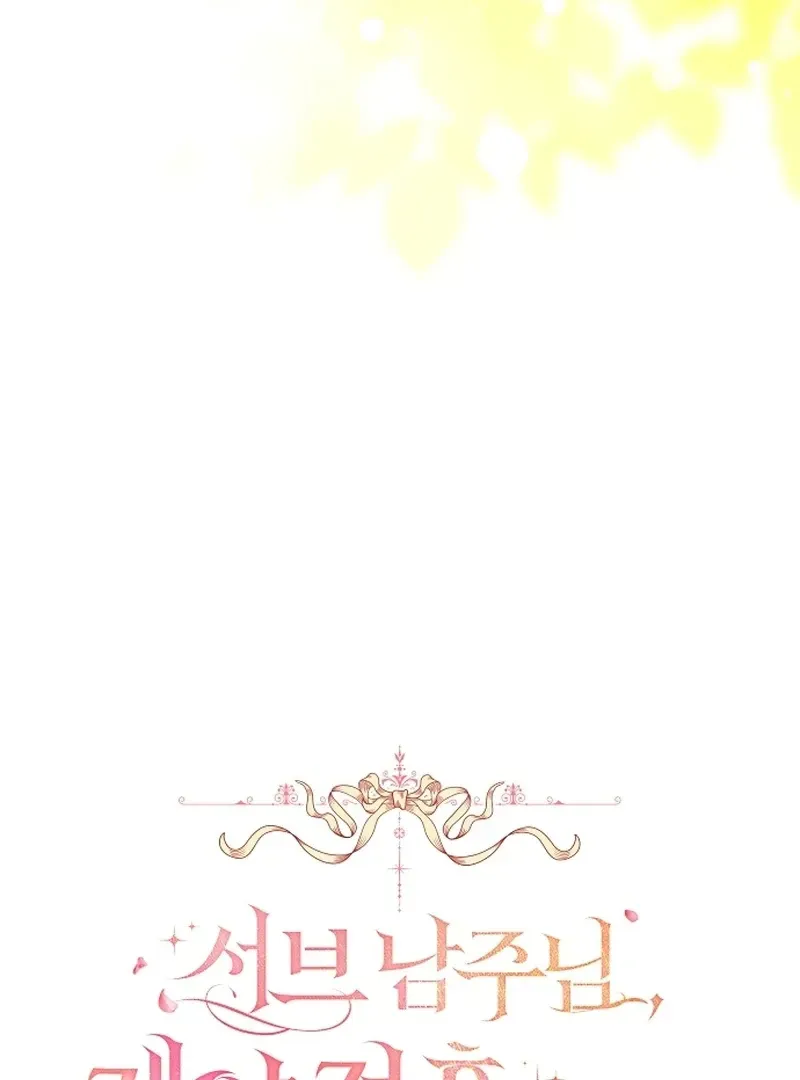 Sub-Male Lead, You Said It Was A Contract Marriage? Chapter 16 Online - página 48