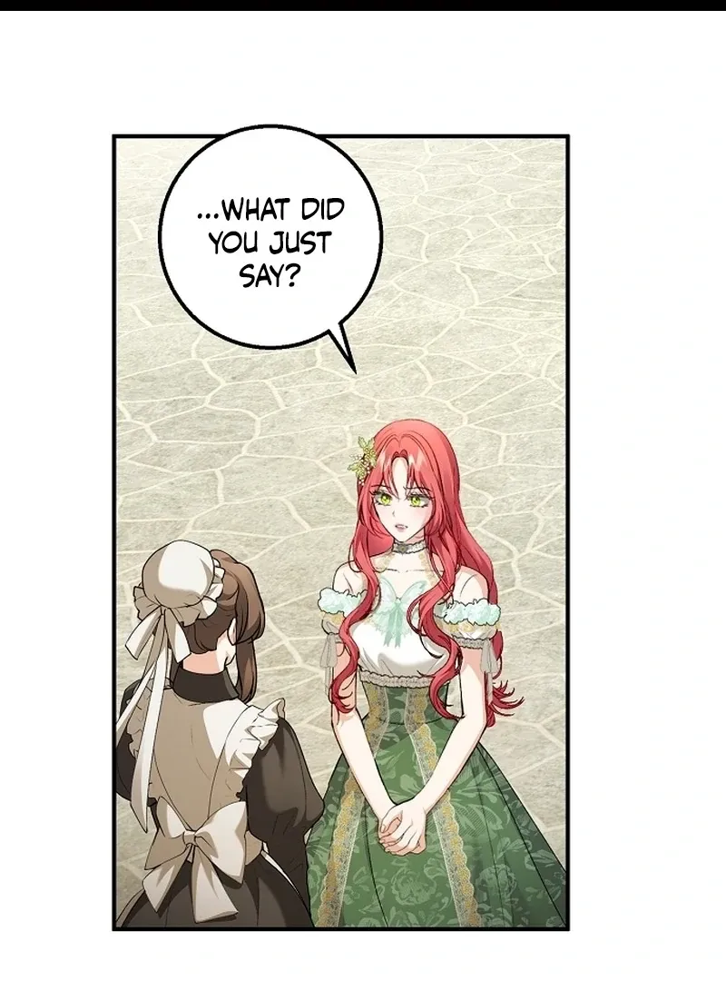 Sub-Male Lead, You Said It Was A Contract Marriage? Chapter 26 Online - página 2