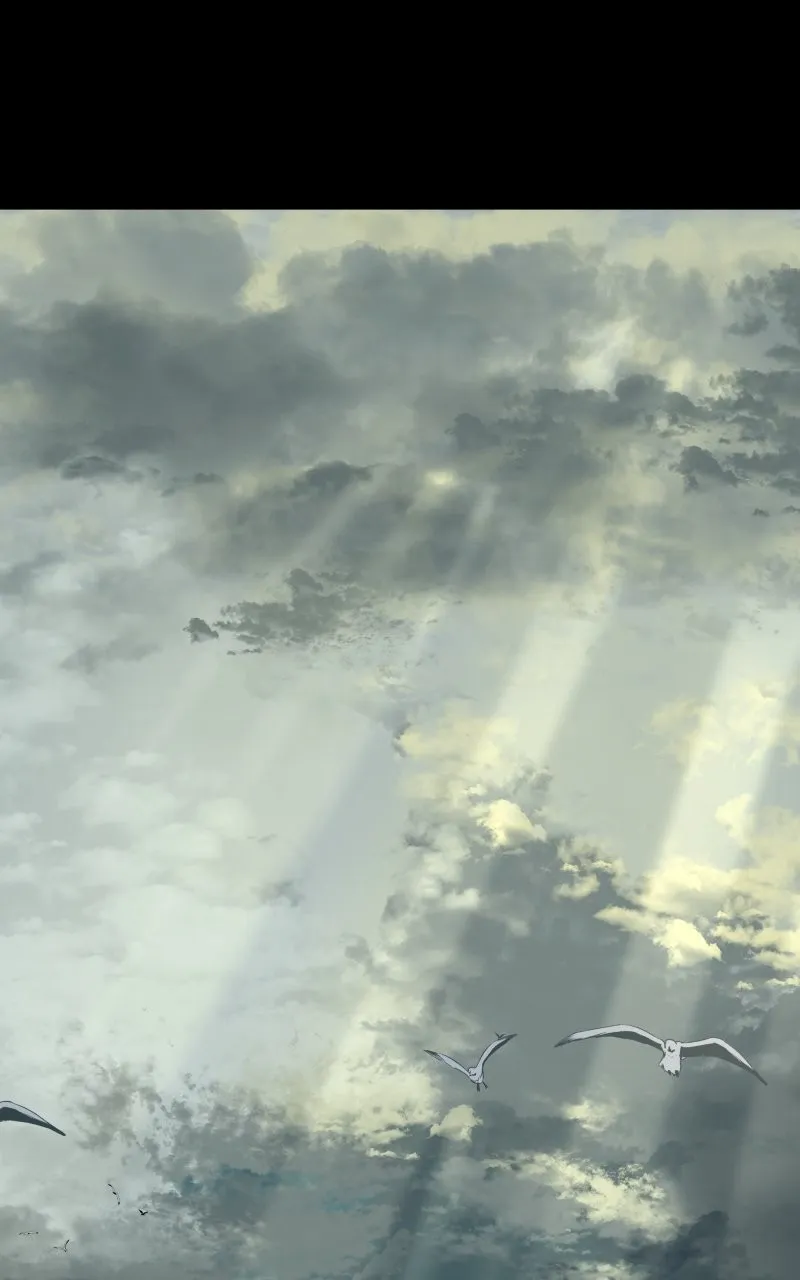 Sunset Phoenix Chapter 20 Online - página 62