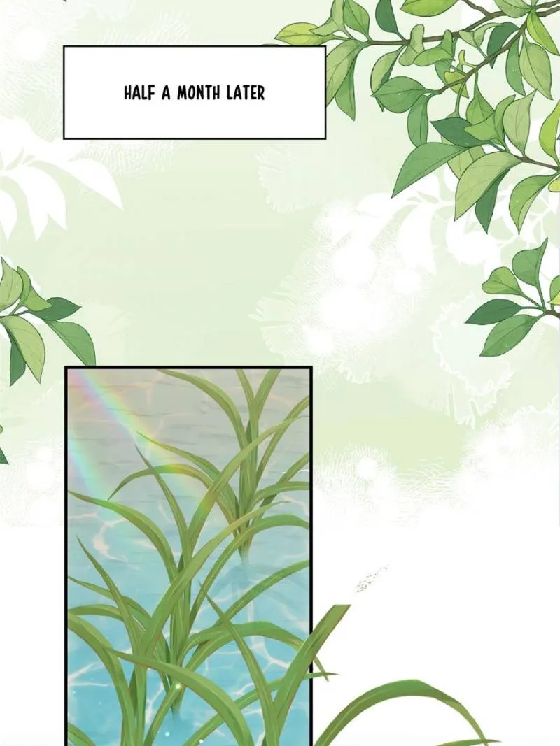 Sweet Love in Beast World: I Am the Rain God in Another World Chapter 103 Online - página 8