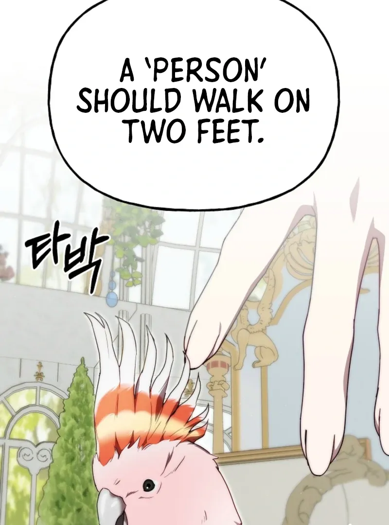 Tamed the Monster Prince Chapter 12 Online - página 69