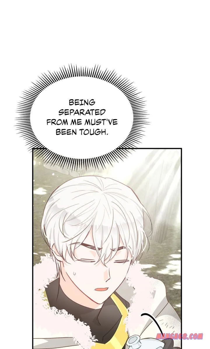 Terrarium Adventure Chapter 41 Online - página 14