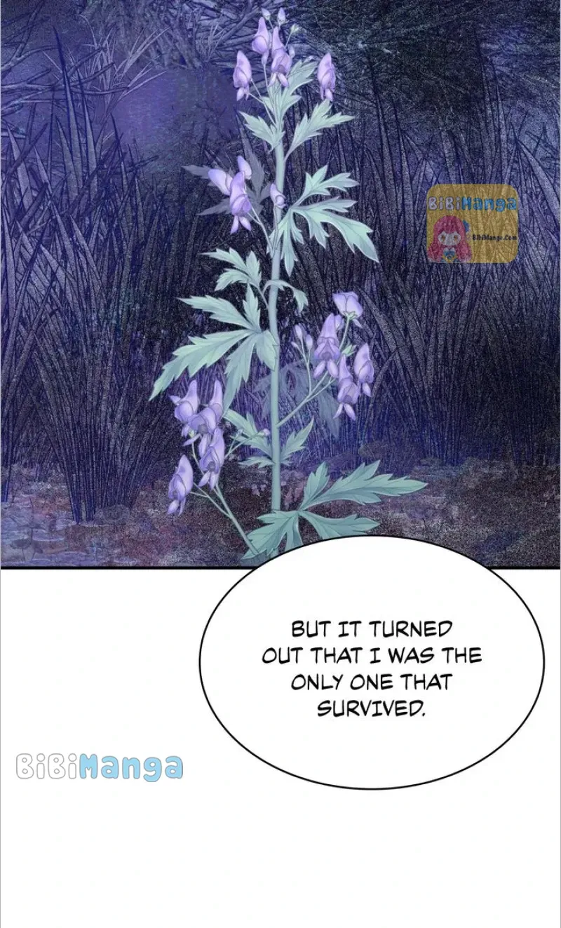 Terrarium Adventure Chapter 47 Online - pƔgina 77