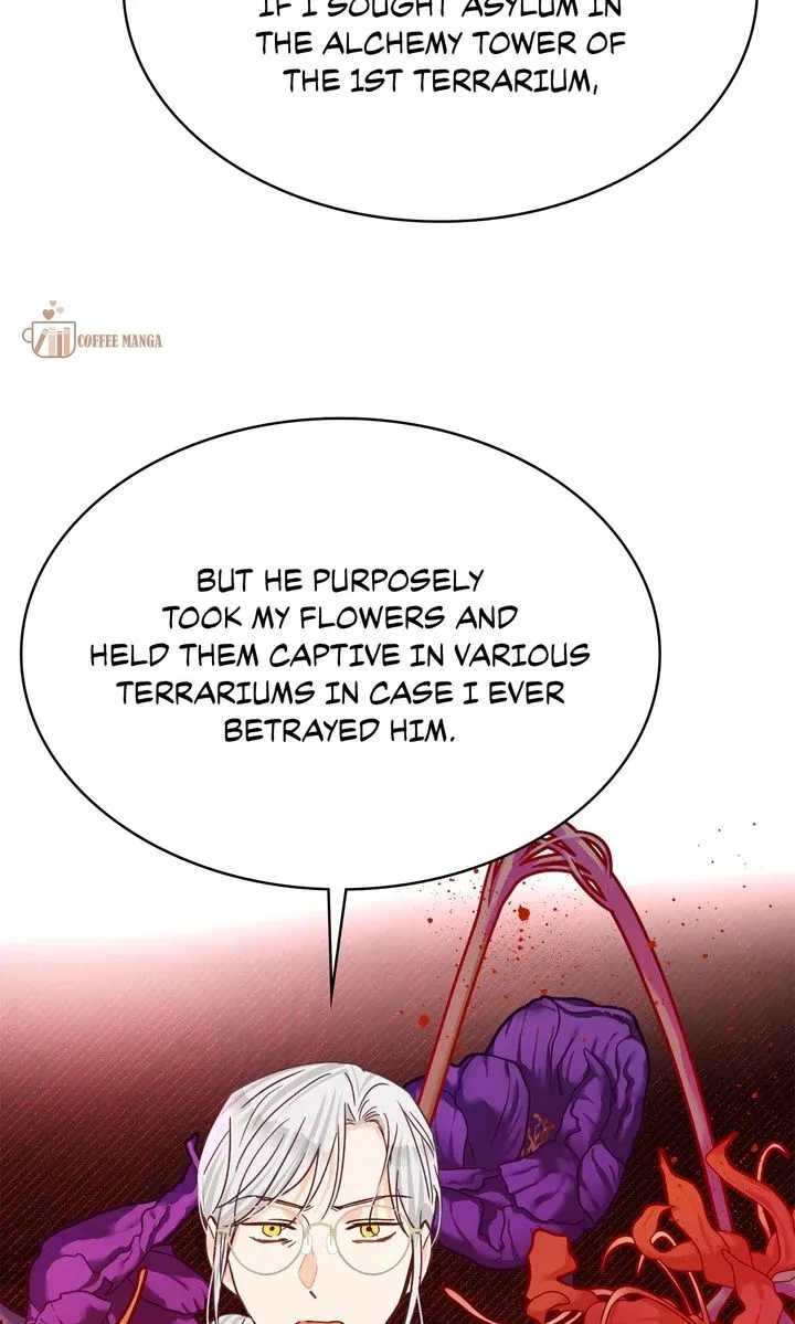 Terrarium Adventure Chapter 75 Online - pƔgina 11