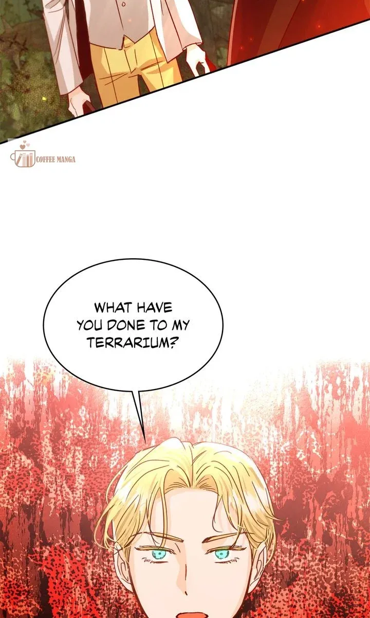 Terrarium Adventure Chapter 85 Online - pƔgina 62