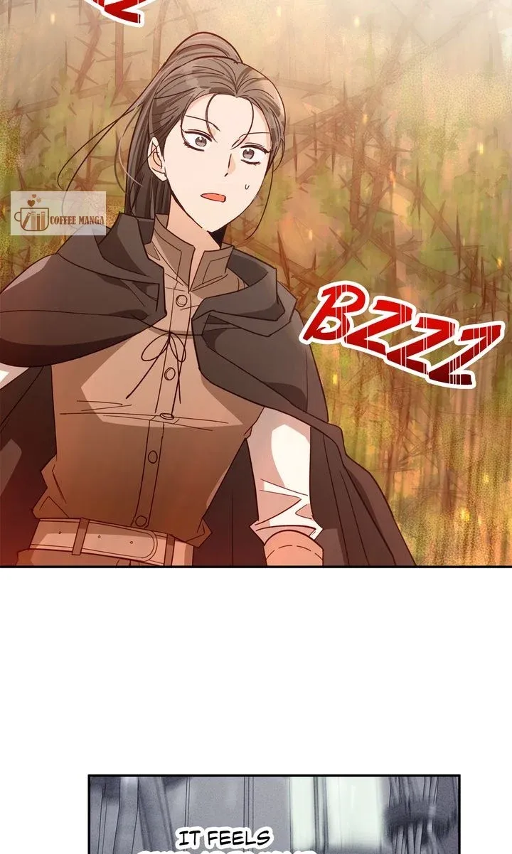 Terrarium Adventure Chapter 85 Online - pƔgina 79