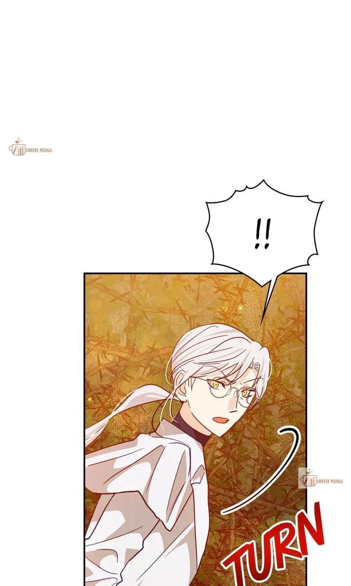 Terrarium Adventure Chapter 87 Online - pƔgina 67