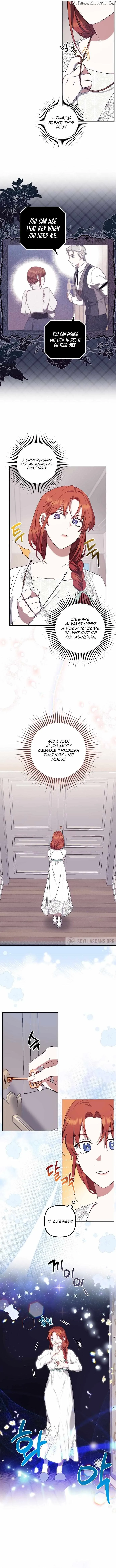 The Abandoned Bachelorette Enjoys Her Simple Life Chapter 11 Online - página 6