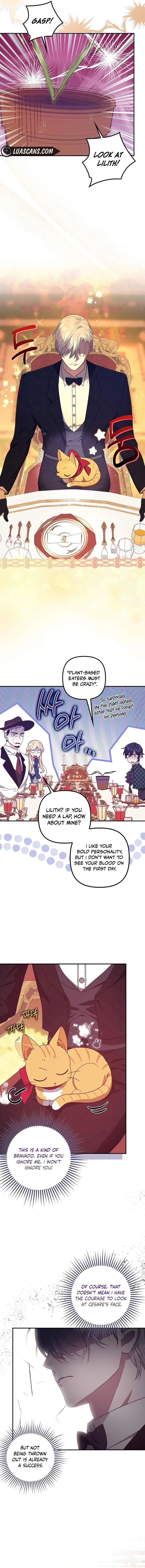The Abandoned Bachelorette Enjoys Her Simple Life Chapter 61 Online - página 6
