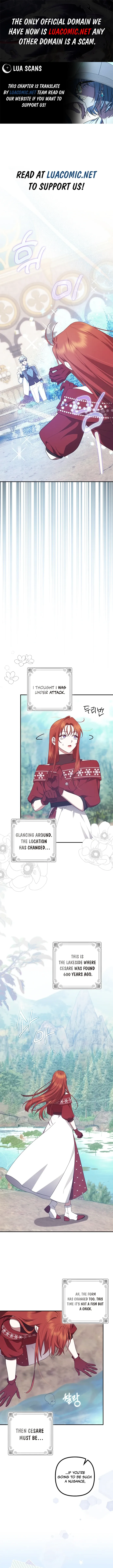 The Abandoned Bachelorette Enjoys Her Simple Life Chapter 66 Online - página 1