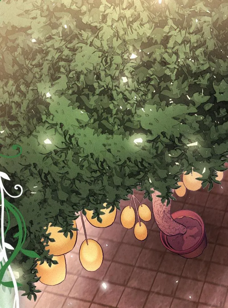 The Abandoned Saintess’s Vow: To Deny the Prince’s Love in Her Next Life Chapter 24 Online - página 22