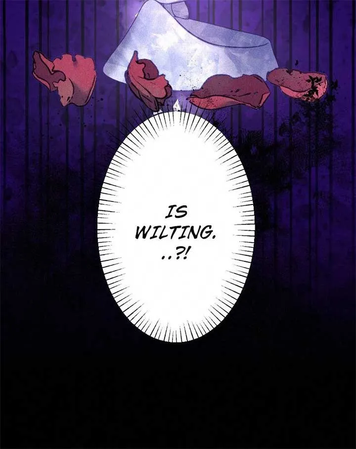 The Abandoned Saintess’s Vow: To Deny the Prince’s Love in Her Next Life Chapter 29 Online - página 84