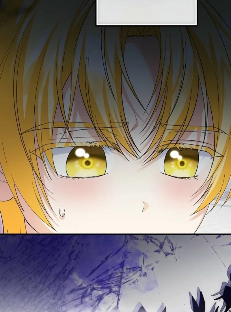 The adopted daughter-in-law wants to leave Chapter 96 Online - página 28