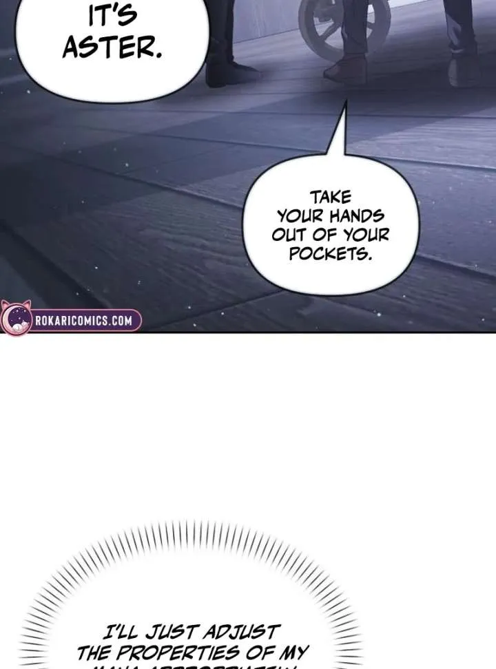 The Back-Alley Mage’s Return Chapter 18 Online - página 135