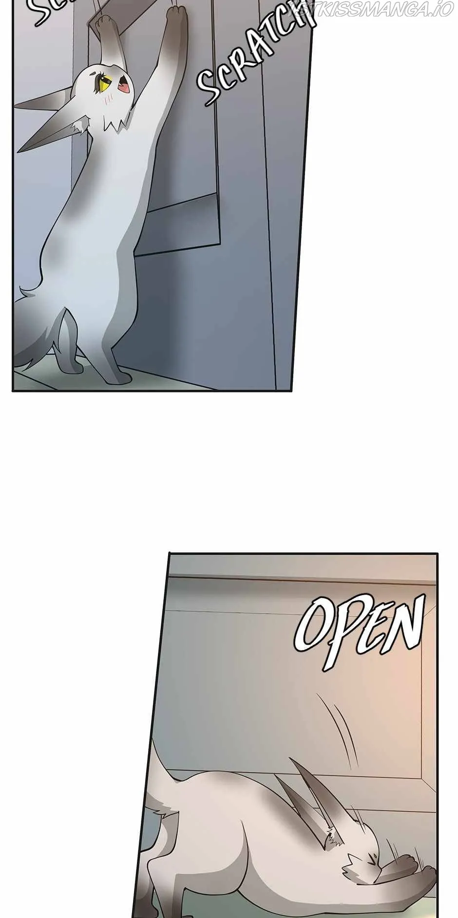 The Beginning After The End Chapter 133 Online - página 41
