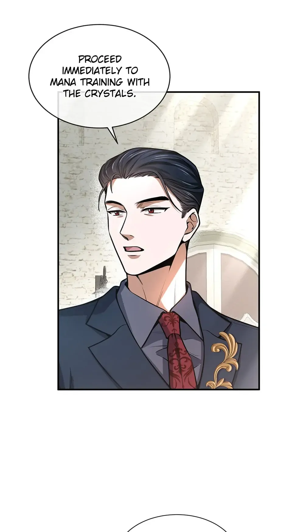 The Beginning After The End Chapter 177 Online - página 17