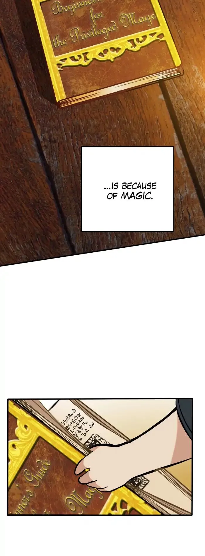 The Beginning After The End Chapter 2 Online - página 35