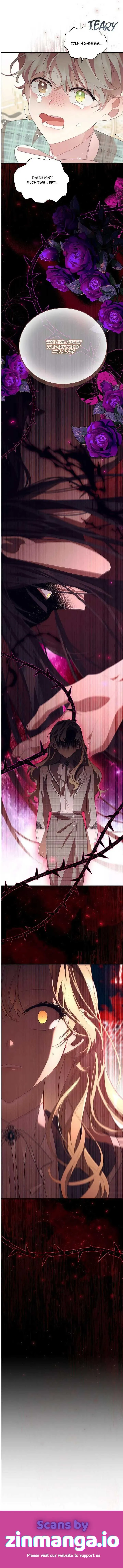 The Beloved Little Princess Chapter 167 Online - página 13