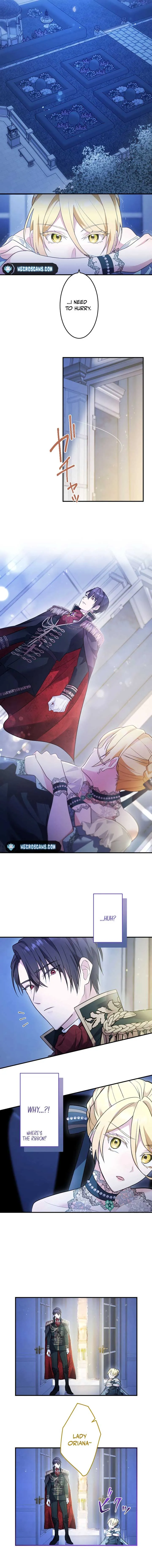 The Contract Marriage Doesn’t Include Obsession! Chapter 1 Online - página 11