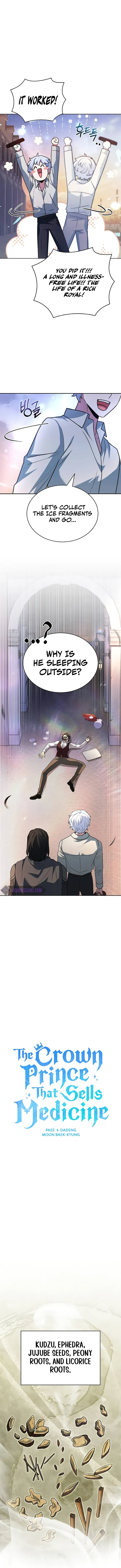 The Crown Prince That Sells Medicine Chapter 22 Online - página 10
