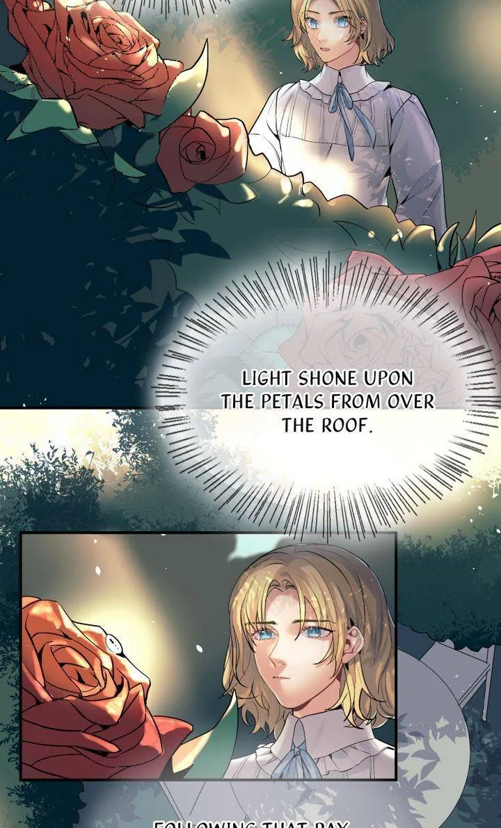 The Dark Night Journal Chapter 37 Online - página 15