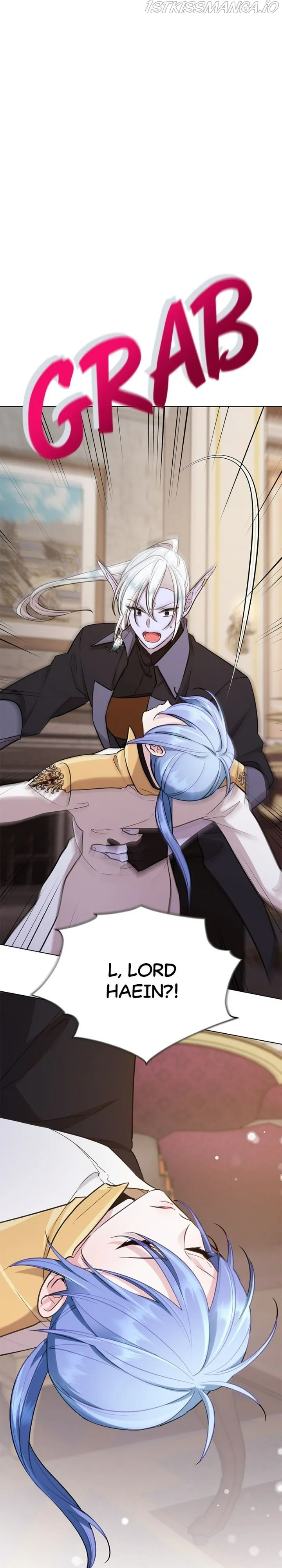 The Daughter of the Elemental King Chapter 109 Online - página 45