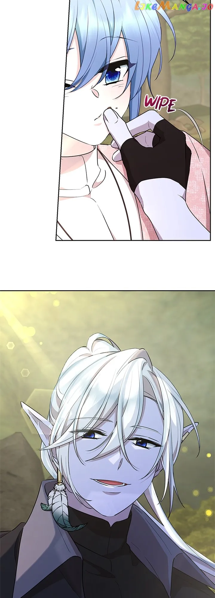 The Daughter of the Elemental King Chapter 136 Online - página 44
