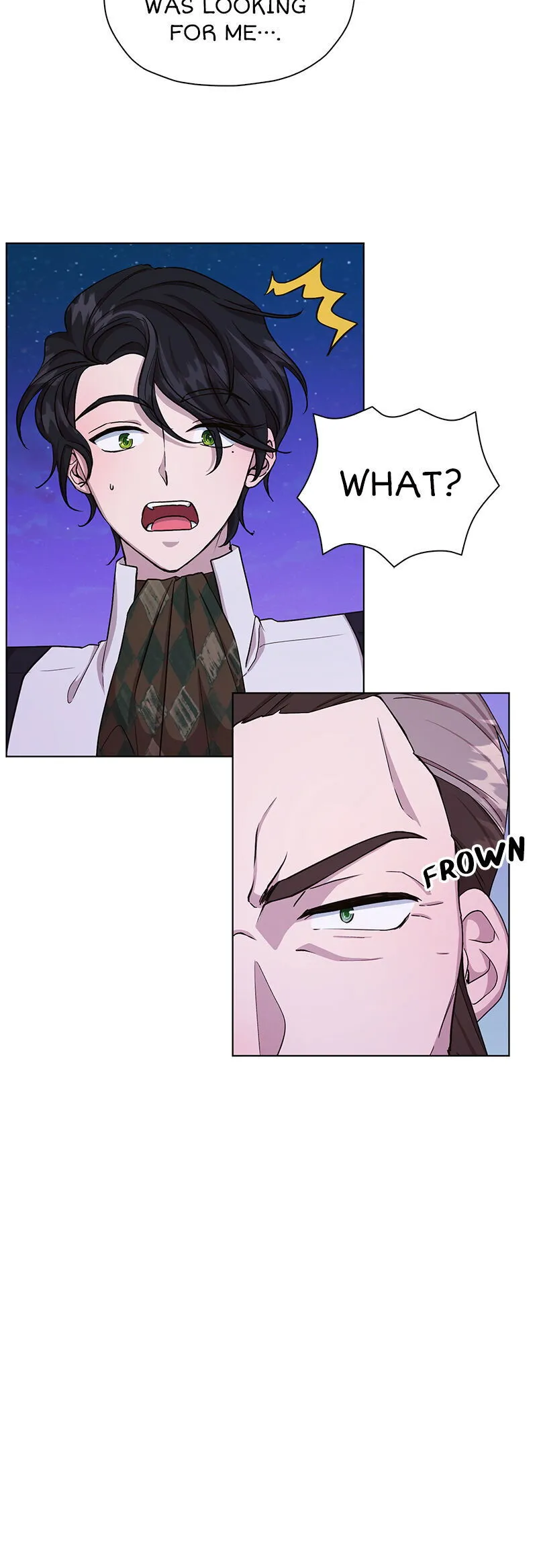 The Daughter of the Elemental King Chapter 28 Online - página 11