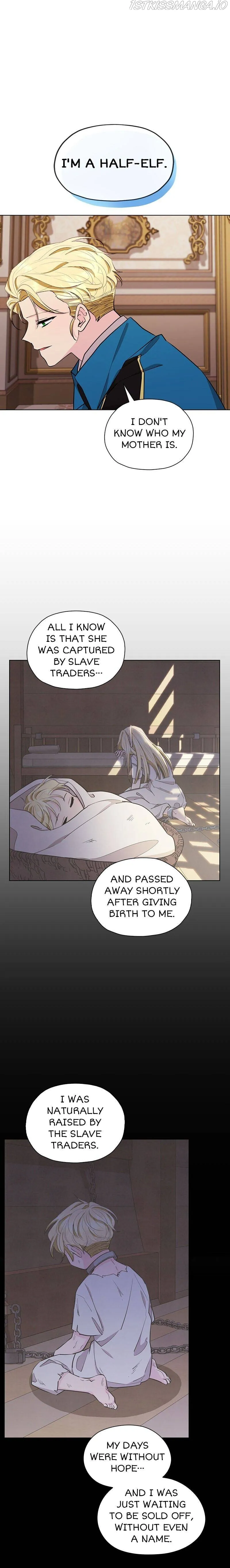 The Daughter of the Elemental King Chapter 94 Online - página 15