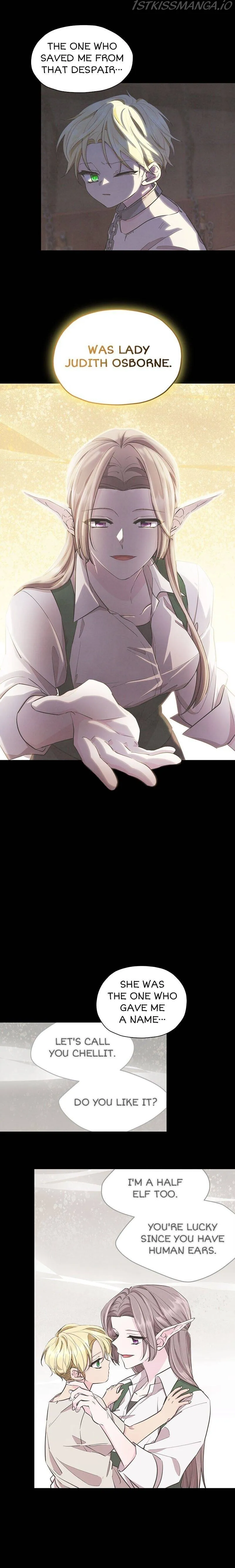 The Daughter of the Elemental King Chapter 94 Online - página 16