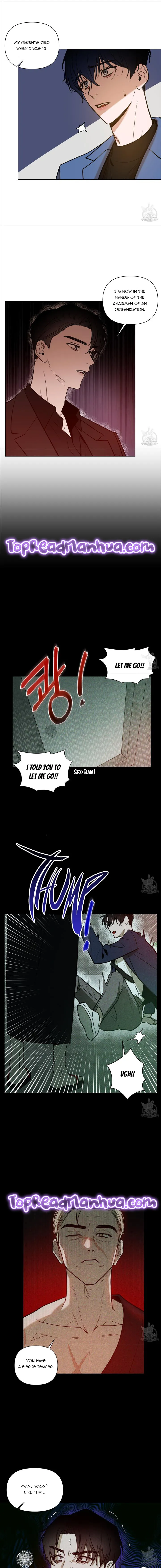 The Dawn That Cuts Through The Night Chapter 15 Online - página 8