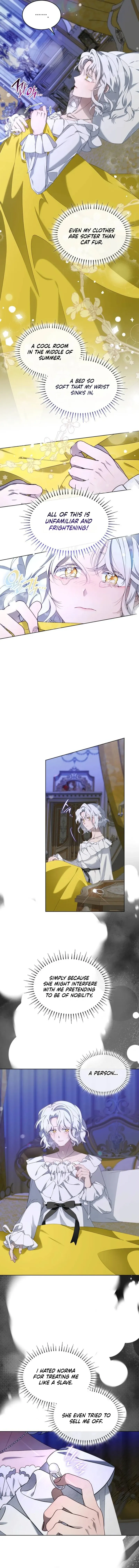 The Day The Real One Appeared Chapter 2 Online - página 7