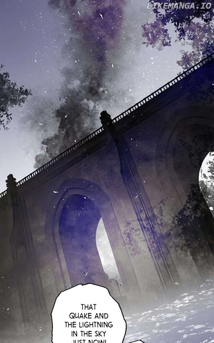 The Demon King’s Confession Chapter 116 Online - página 13