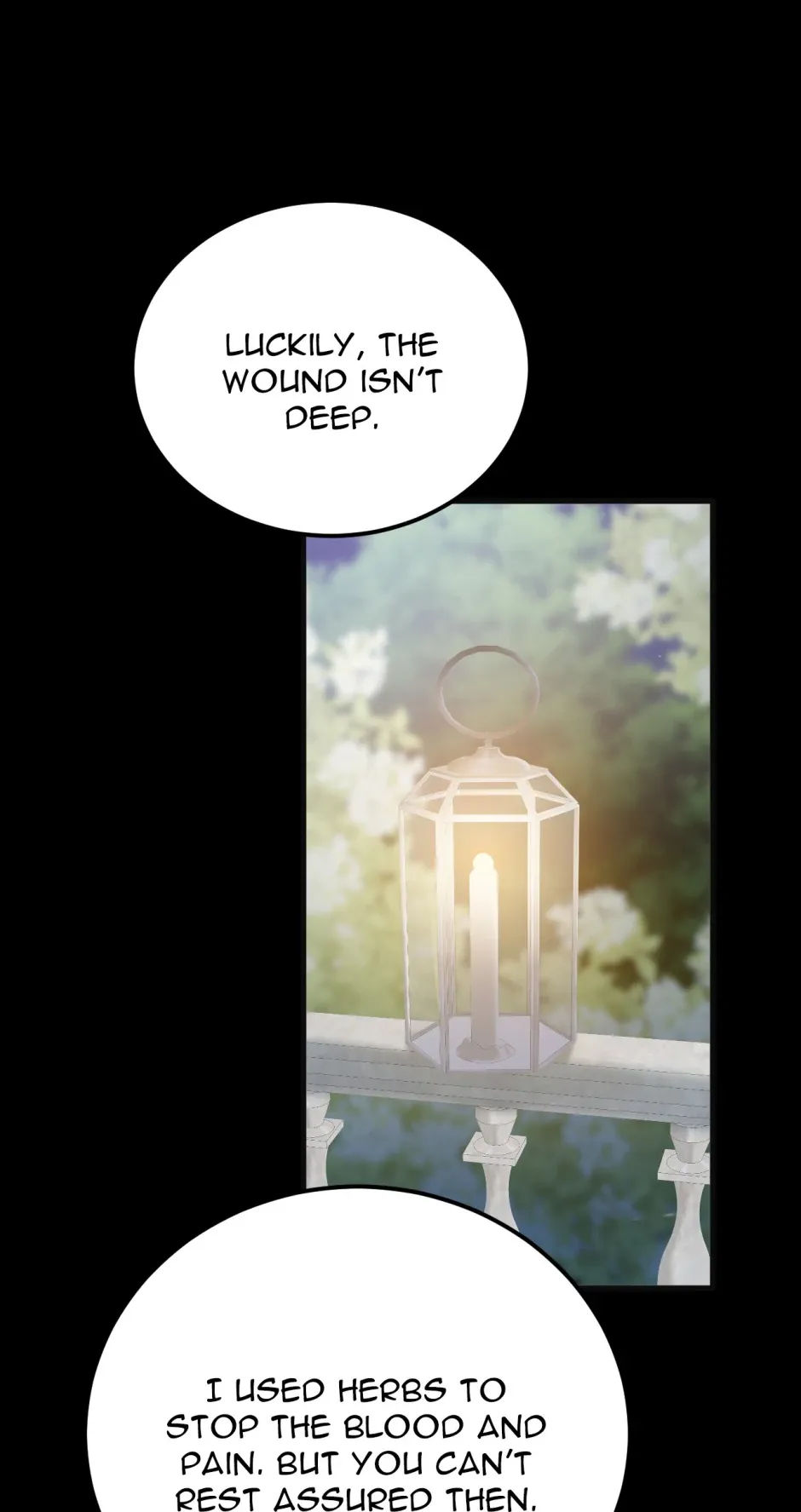 The Ducal Family’s Poisonous Flower Chapter 39 Online - página 1