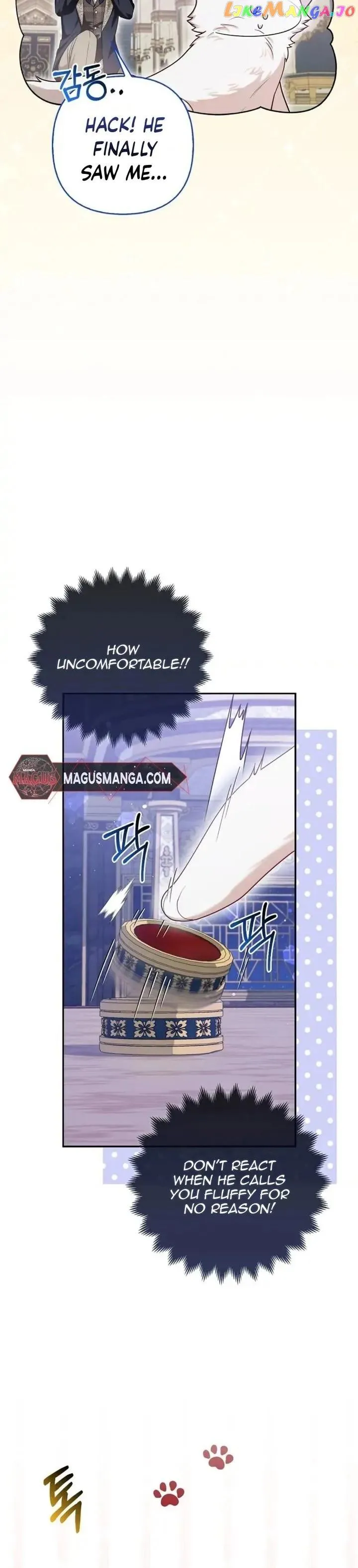 The Duke and The Fox Princess Chapter 10 Online - página 19