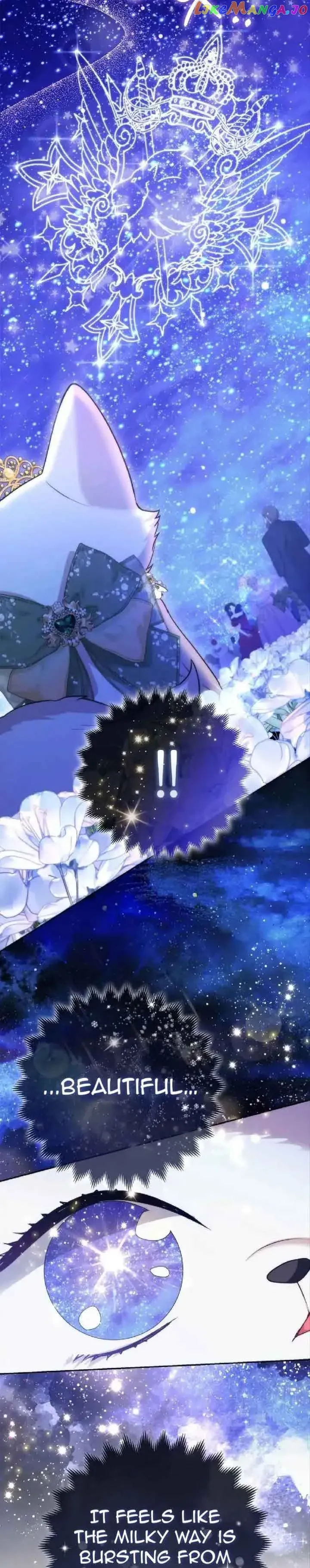 The Duke and The Fox Princess Chapter 14 Online - página 17