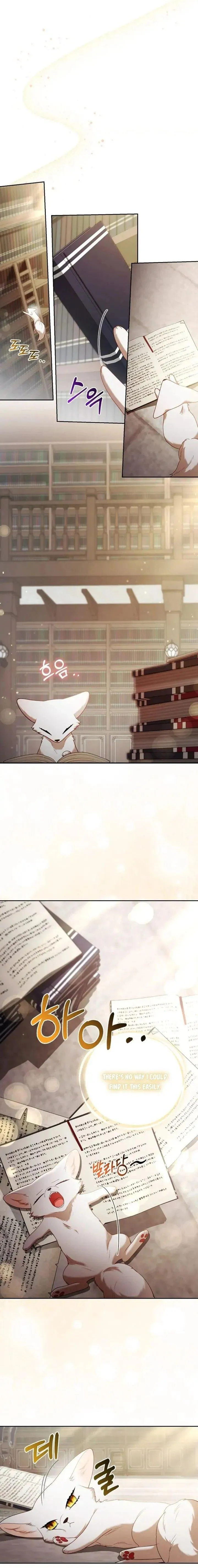 The Duke and The Fox Princess Chapter 18 Online - página 7