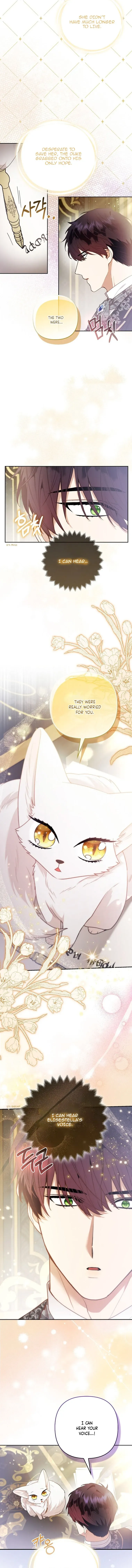 The Duke and The Fox Princess Chapter 22 Online - página 9