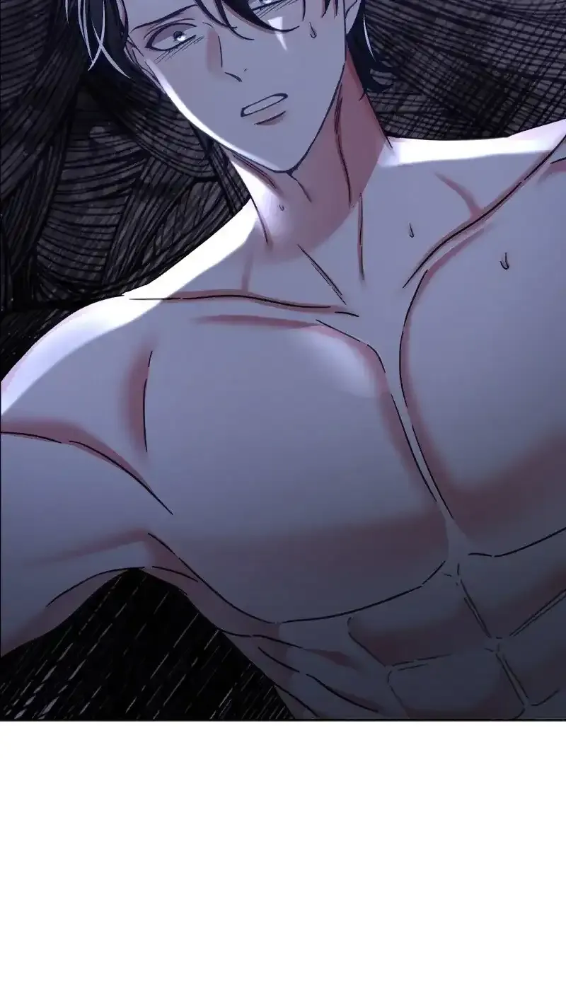 The Emperor’s Sleepless Nights Chapter 8 Online - página 5