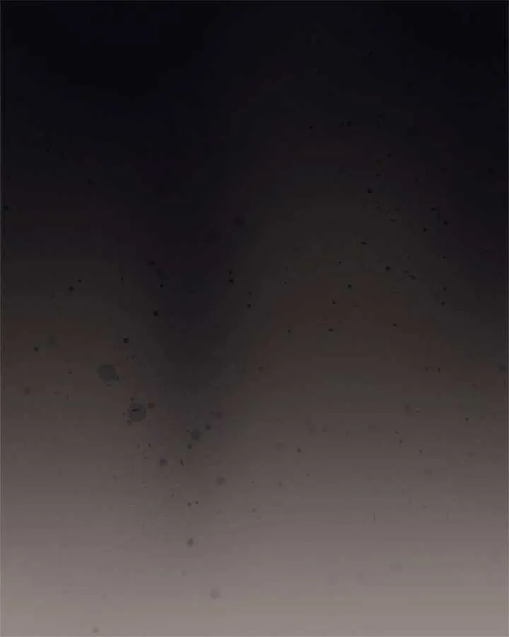 The Empress Wants To Avoid the Emperor Chapter 35 Online - página 33