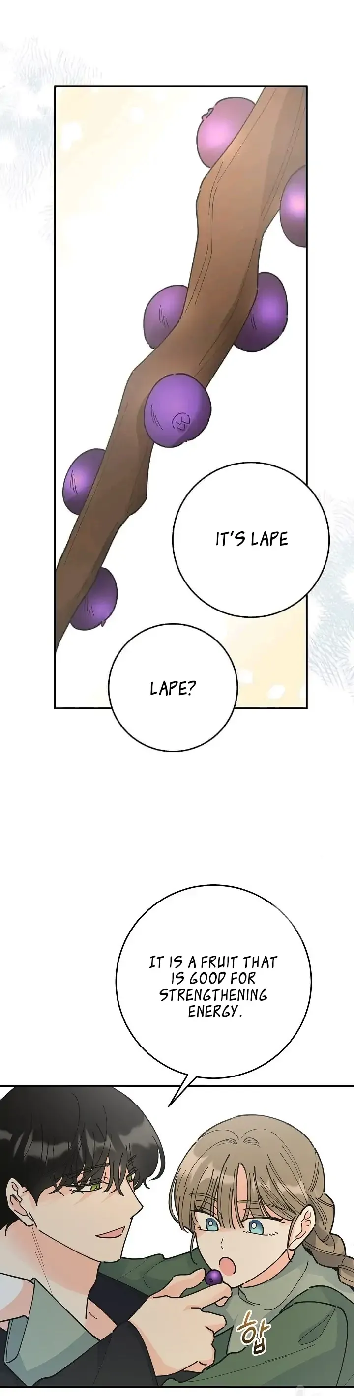 The Evil Lady’s Hero Chapter 90 Online - página 24