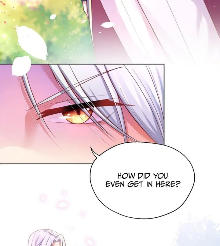 The evil witch’s survival plan Chapter 11 Online - página 29