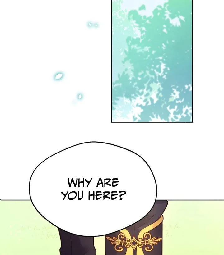 The evil witch’s survival plan Chapter 11 Online - página 44