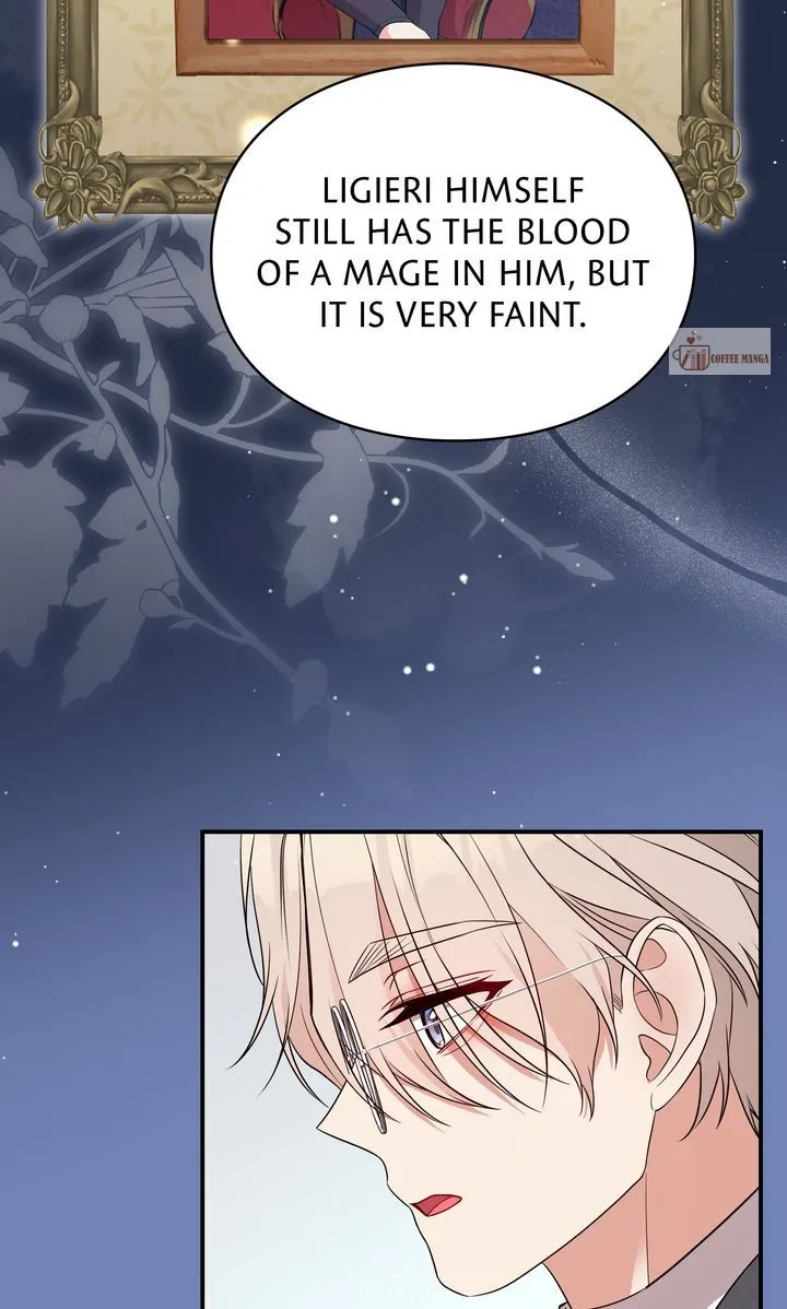 The Fairy Legacy Chapter 55 Online - página 33