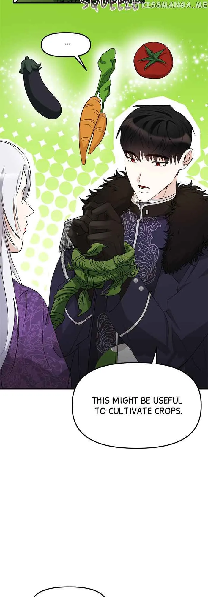 The Fake Duchess In Distresss Chapter 12 Online - página 7
