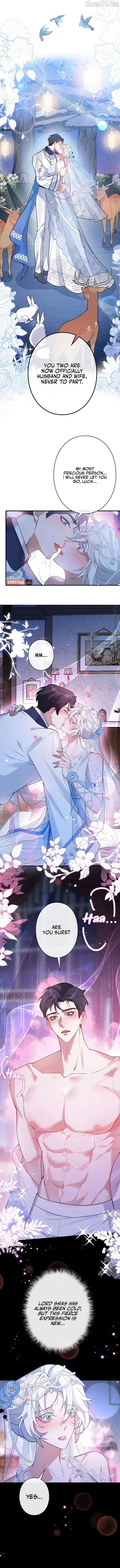 The Fake Saint’s Splendid Revenge Chapter 43 Online - página 6