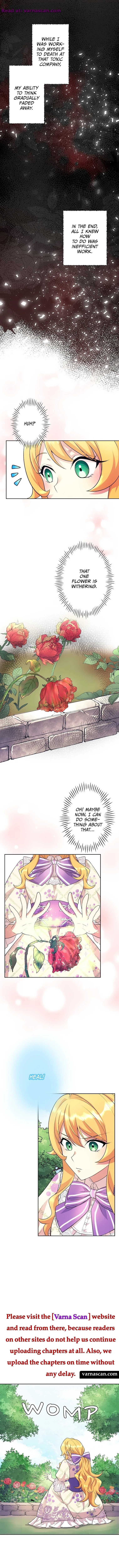 The False Saintess Overturns Her Fate Chapter 15 Online - página 4